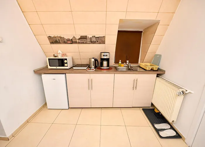 Appartement Ideal Unirii Square *